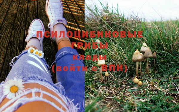 круглые Магас