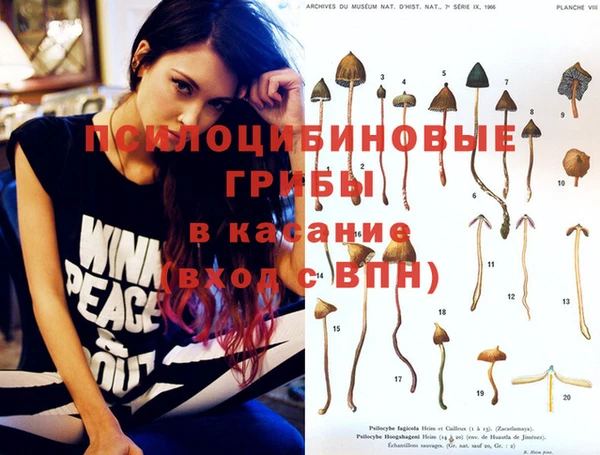 круглые Липки