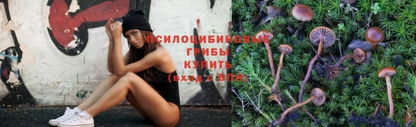 круглые Магас