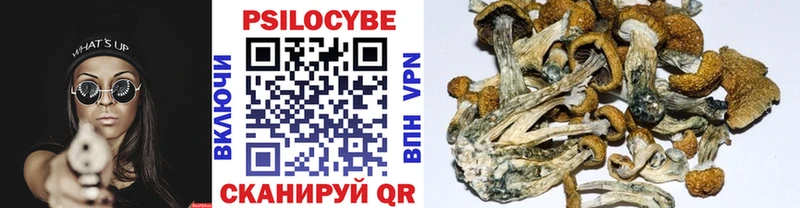 omg ссылка  как найти закладки  Мелеуз  Галлюциногенные грибы Psilocybe 
