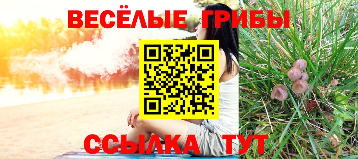 Мелеуз  Псилоцибиновые грибы мухоморы  наркошоп  Вход с VPN 