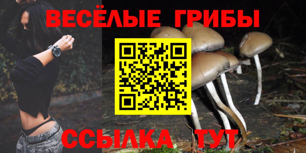 Псилоцибиновые грибы мухоморы Мелеуз